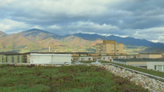 Rozpáleným bytovkám by pomohli zelené strechy. Prvá zelená strecha je na paneláku v Košútoch II.