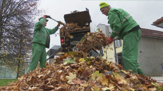 Termín tendra na zhotoviteľa novej nemocnice museli posunúť, jesenná údržba, na sídlisku Košúty II. chcú doplniť zeleň, počty detí v školských zariadeniach