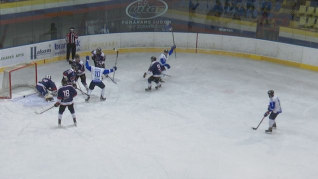 V sobotu na domácom ľade predviedli martinskí hokejisti parádny gólostroj. Hokejistov Brezna poslali domom s poriadnym debaklom
