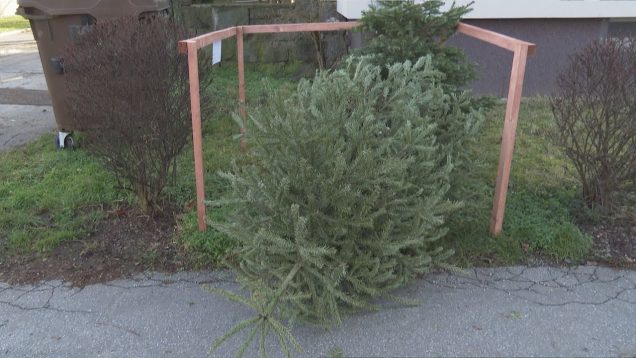 Univerzitná nemocnica v Martine má nového riaditeľa, zber vianočných stromčekov, mesto Martin ocenilo študenta Samuela Kucku, bezplatné mediačné poradenstvo