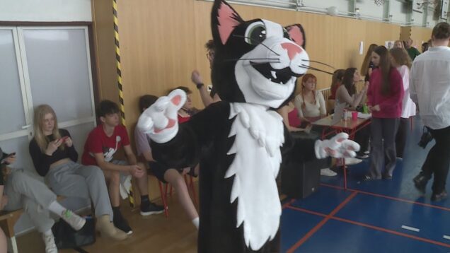 Gymnazistov pravidelne pred školou čakával kocúr, ktorý im vždy spríjemnil deň. Potom sa však vytratil, zrejme si našiel iný domov. No dnes je v novej roztomilej podobe späť