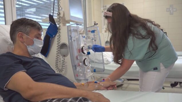 Obličky nebolia. Ak sú choré, odhalí to preventívna prehliadka u všeobecného lekára