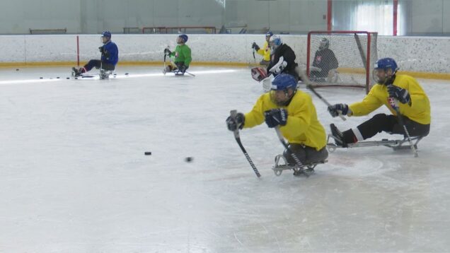 Aj bez nôh sa dá hrať hokej. A kľudne aj postúpiť medzi svetovú elitu. Rozprávať by o tom mohli borci, ktorým ani hendikep nezabránil robiť veľké veci