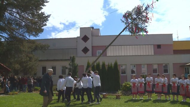 Hoci tretiaci Gymnázia V. Paulinyho-Tótha nie sú folkloristi, svojej úlohy sa zhostili bravúrne. Obliekli si kroje, zatancovali a všetkým nežnejším polovičkám postavili máj
