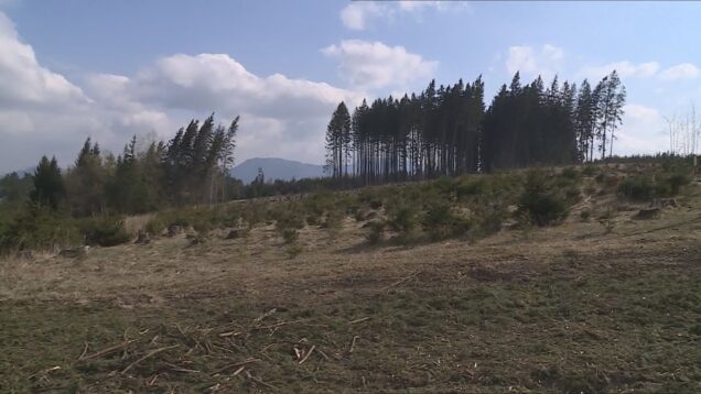 Zlepšenie kvality života znevýhodnených osôb, Kam odovzdať použitý kuchynský olej? Energo – Eko – Služby, Svetový deň hygieny rúk