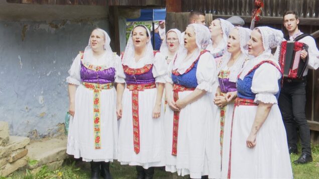 Naši predkovia mali bohaté svadobné zvykoslovie a verili v magickú moc rastlín