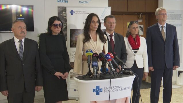 Nová nemocnica by mala stáť do 44. mesiacov od podpisu zmluvy. Prví pacienti by sa tu mohli liečiť v roku 2029