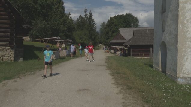 Cez prázdniny je Múzeum slovenskej dediny otvorené každý deň a o návštevníkov núdzu určite nemá. Najväčšia slovenská národopisná expozícia v prírode nikdy neomrzí