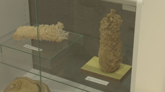 Kalcit je jeden z najrozšírenejších minerálov. Má miliardy rokov a nachádza sa aj v meteoritoch