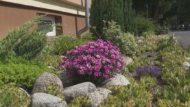 Okolo 100 účastníkov sa zapojilo do letnej súťaže, ktorej hlavným cieľom bolo povzbudiť a inšpirovaťľudí k starostlivosti o vlastný, ale aj verejný priestor