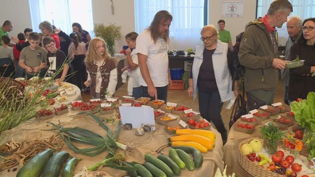 Stoly prehýbajúce sa množstvom zdravého ovocia a zeleniny, bylinky od výmyslu sveta, včelie produkty. Toto a ešte oveľa viac ponúklo čoraz obľúbenejšie vrútocké podujatie