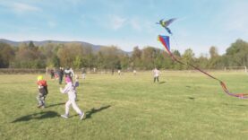 Premiéra Susedského dňa, spojená so šarkaniádou dopadla na výbornú. Pochvaľovali si deti aj dospelí a všetci sa zhodli, že za jeden povraz sa ťahať naozaj oplatí