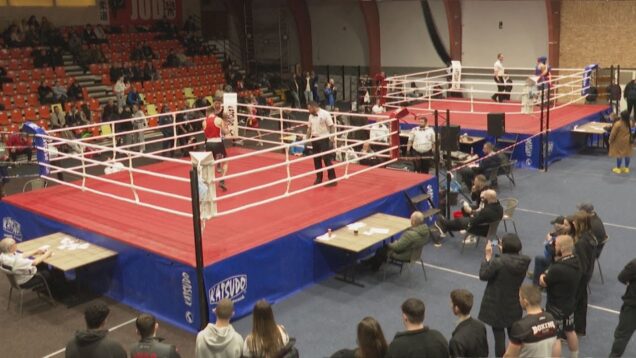 Boxu začala svietiť zelená. V športovej hale sa zišlo 154 boxerov a nastúpili v 80-tich zápasoch. Po takmer troch dekádach sa tu konala medzinárodná liga v boxe