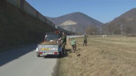 Pracovníci Národného parku Veľká Fatra čistili a kosili migračné koridory. Chcú zabrániť úhynu obojživelníkov, ktoré sa na jar presúvajú popri asfaltových cestách ku vodným plochám