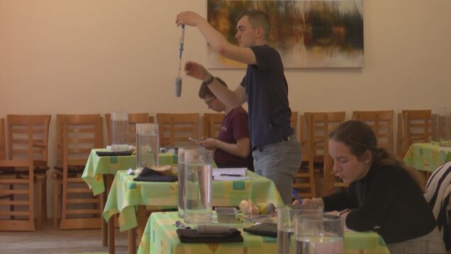 V experimentálnej časti overovali Archimedov zákon, teoretická bola zameraná na elektrické a magnetické pole