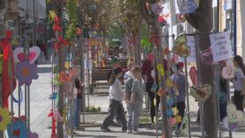 Aj na námestie prišiel máj, lásky čas. Nádherne rozkvitnuté čerešne vďaka výzdobe detí materských a základných škôl priam volajú po sladkom bozku či vyznaní lásky