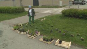 Po vlaňajšom vysadení okrasných stromov nasledovala v uplynulých dňoch výsadba trávy, trvaliek a súčasťou oddychovej zóny bude aj živý plot