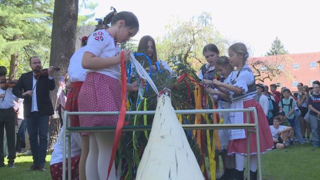 Po výborných ohlasoch z minulého roka sa aj tentoraz chlapci a chlapi podujali postaviť majestátny symbol lásky. Pomohli aj šikovné dievčence a povzbudzovala celá škola