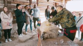 V skanzene ožili salašnícke a pastierske zvyky a tradície
