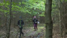 Orientačný beh na Stráňach prilákal športovcov z celého regiónu aj Košíc