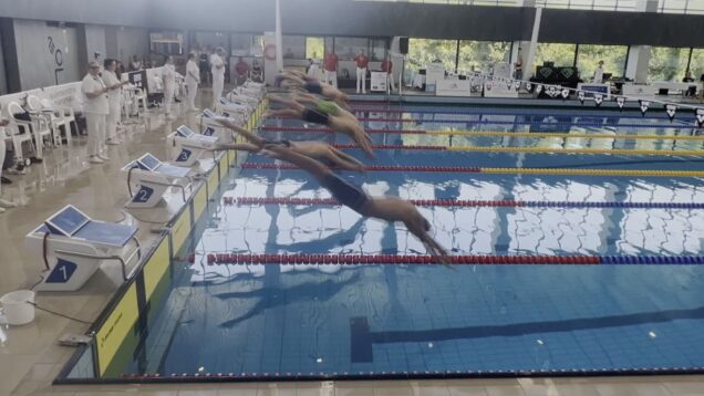 Zlaté, strieborné a bronzové úspechy. Plavecký klub má majstrov a vicemajstrov Slovenska