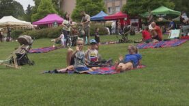 Fantastické jedlo od výmyslu sveta, bohatý program, výborná hudba, stretnutia s priateľmi. To všetko a ešte oveľa viac ponúkol ďalší ročník obľúbeného Fest pikniku