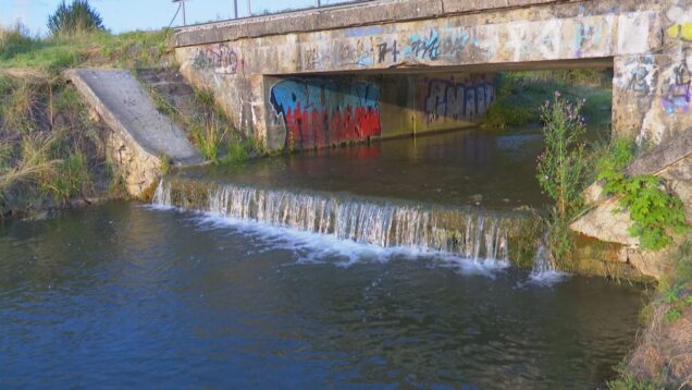 V Sklabinskom potoku zaznamenali úhyn rýb a raka. Prípad vyšetrovali príslušné orgány