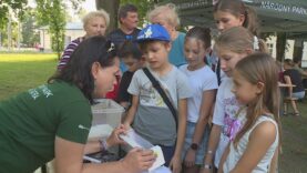 Často sú nepochopené a nespravodlivo  zatracované, no ich význam pre prírodu je obrovský. V kúpeľnom meste sa počas Noci netopierov búrali predsudky a mýty