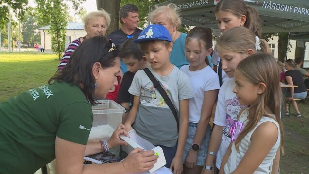 Často sú nepochopené a nespravodlivo  zatracované, no ich význam pre prírodu je obrovský. V kúpeľnom meste sa počas Noci netopierov búrali predsudky a mýty
