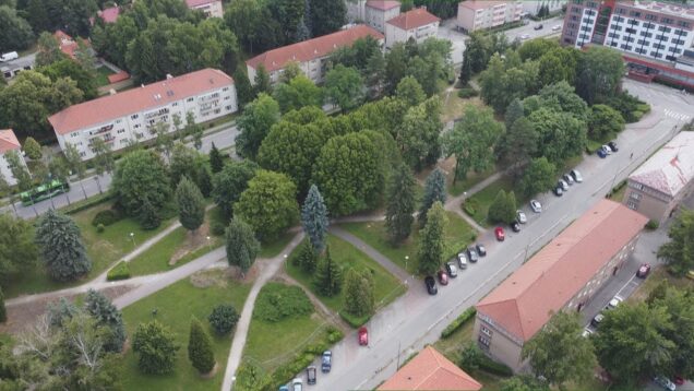 Obnova parku v centre mesta pokračuje. Najväčšia pozornosť sa sústreďuje na stavebné práce chodníkovej fontány