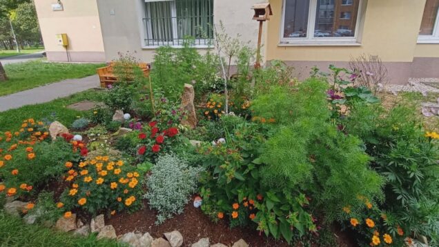 Obyvatelia opäť ukázali, že im záleží na vzhľade svojho okolia. Vďaka ich starostlivosti a kreativite naše ulice rozkvitli farbami
