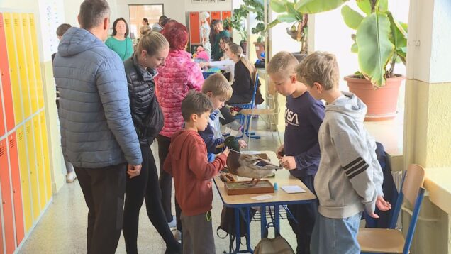 Aj v sobotu môže byť v škole super. Kronerka sa zaplnila dobrou náladou, úsmevmi a ekologickými aktivitami. A prišli aj mnohí rodičia, ktorí sa spoločne s deťmi učili od prírody