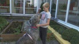 Do zelenej školy prišiel aj vlkodav, nechýbala sliepka, mačka a plazy