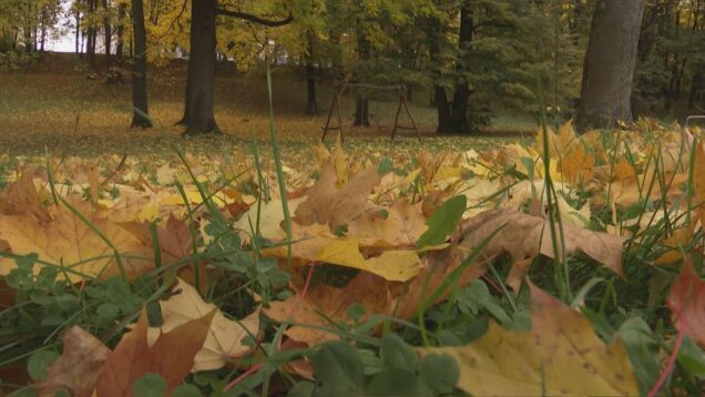 Jeseň očami, fotografa, spisovateľa aj farmárky