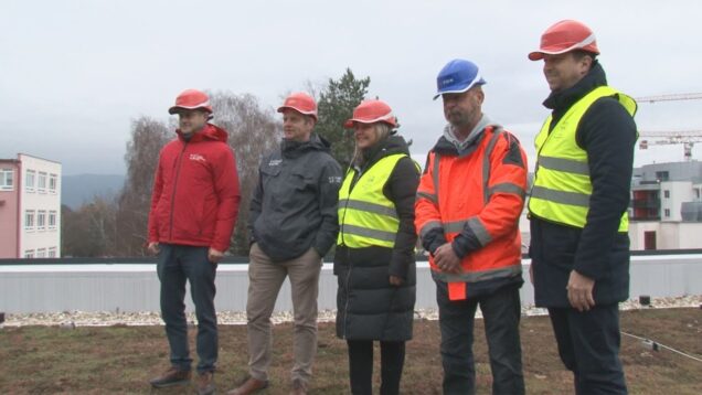 Zelená strecha zlepší mikroklímu, v lete prinesie chlad a v zime úsporu