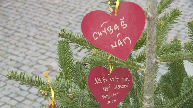 V predvianočnom čase ľudia vďaka Mobilnému hospicu Božieho milosrdenstva zavesili svoje odkazy na stromček a ich myšlienky smerovali do neba k ich milovaným zosnulým