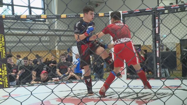 Zo športovej haly sa stala bojová aréna. V Martine mala svoju veľkú premiéru MAMMAL MMA League 58