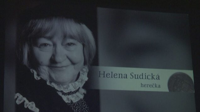 Herečka Helena Sudická, grafický dizajnér Peter Ďurík aj Matka a dieťa Turca o. z. získali významné ocenenia Žilinského samosprávneho kraja