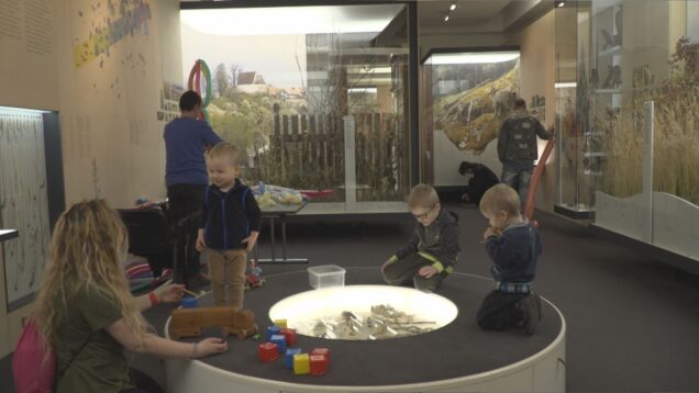 V múzeu Andreja Kmeťa sa deti dozvedeli o prikrmovaní vtáctva. Vtáčikom vyrobili aj pochúťky