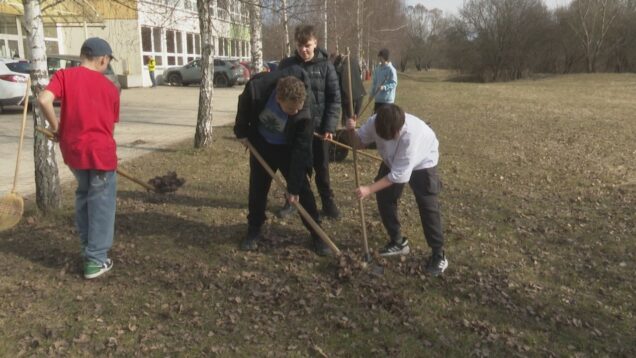 Siedmaci zo ZŠ A. Stodolu dostali na výber: buď strávia hodinu technickej výchovy v laviciach, alebo upracú okolie školy. Rozhodli sa pre druhú možnosť