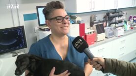 Hlavné správy TVT 22.4.2026