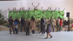 V Turanoch sa uskutočnila veľká chovateľská prehliadka, kde poľovníci z celého Turca bilancovali uplynulú sezónu. Vidieť ste mohli stovky trofejí, od vzácnych zhodov až po zlatých medailistov. Nás najviac zaujal príbeh majestátneho jeleňa z blatnických lesov a hôr.