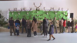 V Turanoch sa uskutočnila veľká chovateľská prehliadka, kde poľovníci z celého Turca bilancovali uplynulú sezónu. Vidieť ste mohli stovky trofejí, od vzácnych zhodov až po zlatých medailistov. Nás najviac zaujal príbeh majestátneho jeleňa z blatnických lesov a hôr.