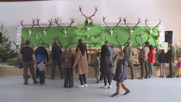 V Turanoch sa uskutočnila veľká chovateľská prehliadka, kde poľovníci z celého Turca bilancovali uplynulú sezónu. Vidieť ste mohli stovky trofejí, od vzácnych zhodov až po zlatých medailistov. Nás najviac zaujal príbeh majestátneho jeleňa z blatnických lesov a hôr.