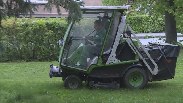 *Začína sa kosiť *Martinské bežecké preteky pre všetkých *Jarná očista mesta. Môžete sa zapojiť! *Útek z miesta nehody sa nevypláca *Cestovanie vlakom so zľavou 25% *Gymnazista Richard Dudek, kráľ matematiky a fyziky *Martinskí gymnazisti dosiahli zlatý triumf!