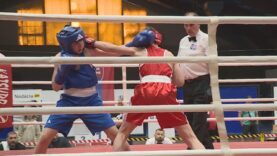 Do ringu nastúpilo 192 boxeristov. O víťazoch rozhodovali sekundy, hlava a tvrdé údery