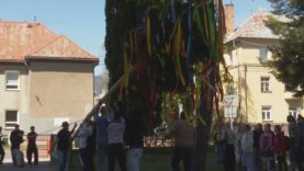 Na školskom dvore vyrástol máj. Deti a pedagógovia sa tešia zo zvykov a tradícií