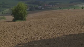 Poľnohospodárov naďalej aj po zrážkach trápi sucho, vlahy v pôde je stále kritický nedostatok
