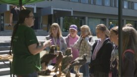 Deti objavovali tajomstvá prírody, herbárov aj záchrany voľne žijúcich živočíchov