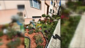 Do súťaže Martinské predzáhradky a balkóny sa tento rok prihlásilo 30 súťažiacich. Zo šiestich finalistov získala prvé miesto predzáhradka na Hurbanovej ulici